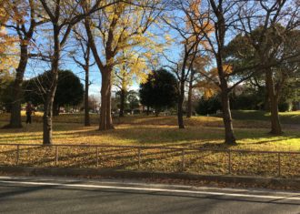 公園の落葉にもの思う