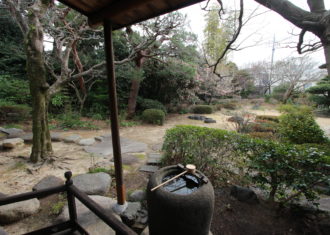 蹲踞のある旧家の植栽の景色