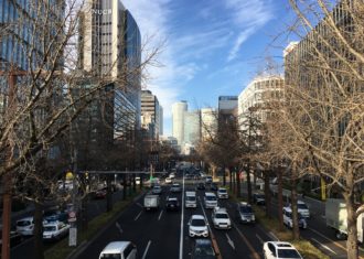 あれから1か月　桜通の銀杏はすべての葉を落としました　