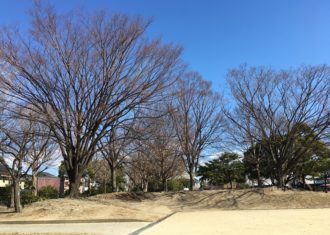 冬化粧した木々も神々しく美しい