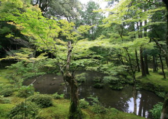 もう一つ　京都の特別名勝のお話　西芳寺