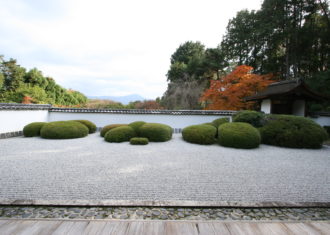 秋の京都正伝寺庭園