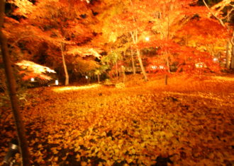 紅葉の絶景　京都永観堂