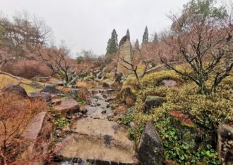 万博記念公園・日本庭園を見る
