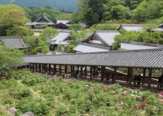 もう一つぼたんの名所　初瀬長谷寺