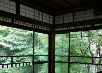 京都八瀬　瑠璃光院の青紅葉