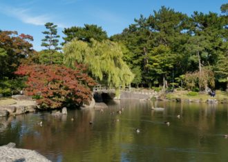 鶴舞公園の和風庭園