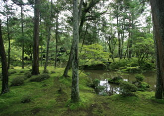 夢窓疎石の華麗な庭と建築がその時代の手本とされた　西芳寺