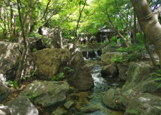 白鳥庭園を歩く　