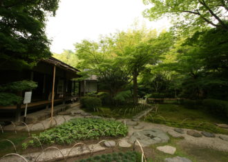 犬山　有楽苑の庭