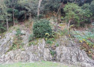 信長の岐阜城　麓の御殿と巨岩のある庭