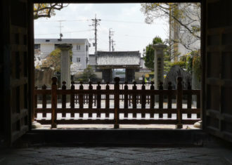 岡崎・大樹寺　桜の多宝塔　岡崎城とのビスタライン