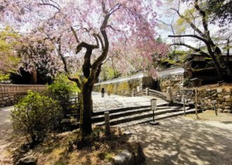 園城寺　その他のちょっといい景観