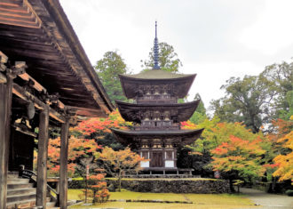 中世の三重塔と本堂がつくる寺院の名景観　西明寺と明通寺