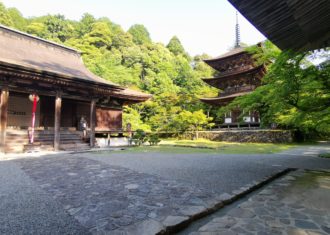 西明寺の三重塔は夏の夕日を受けてより美しい