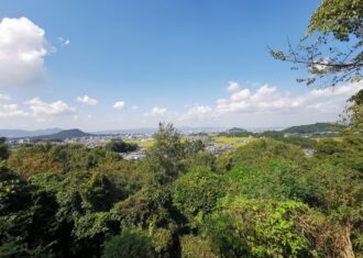 甘樫丘にのぼりいにしえの飛鳥路と藤原京を想う