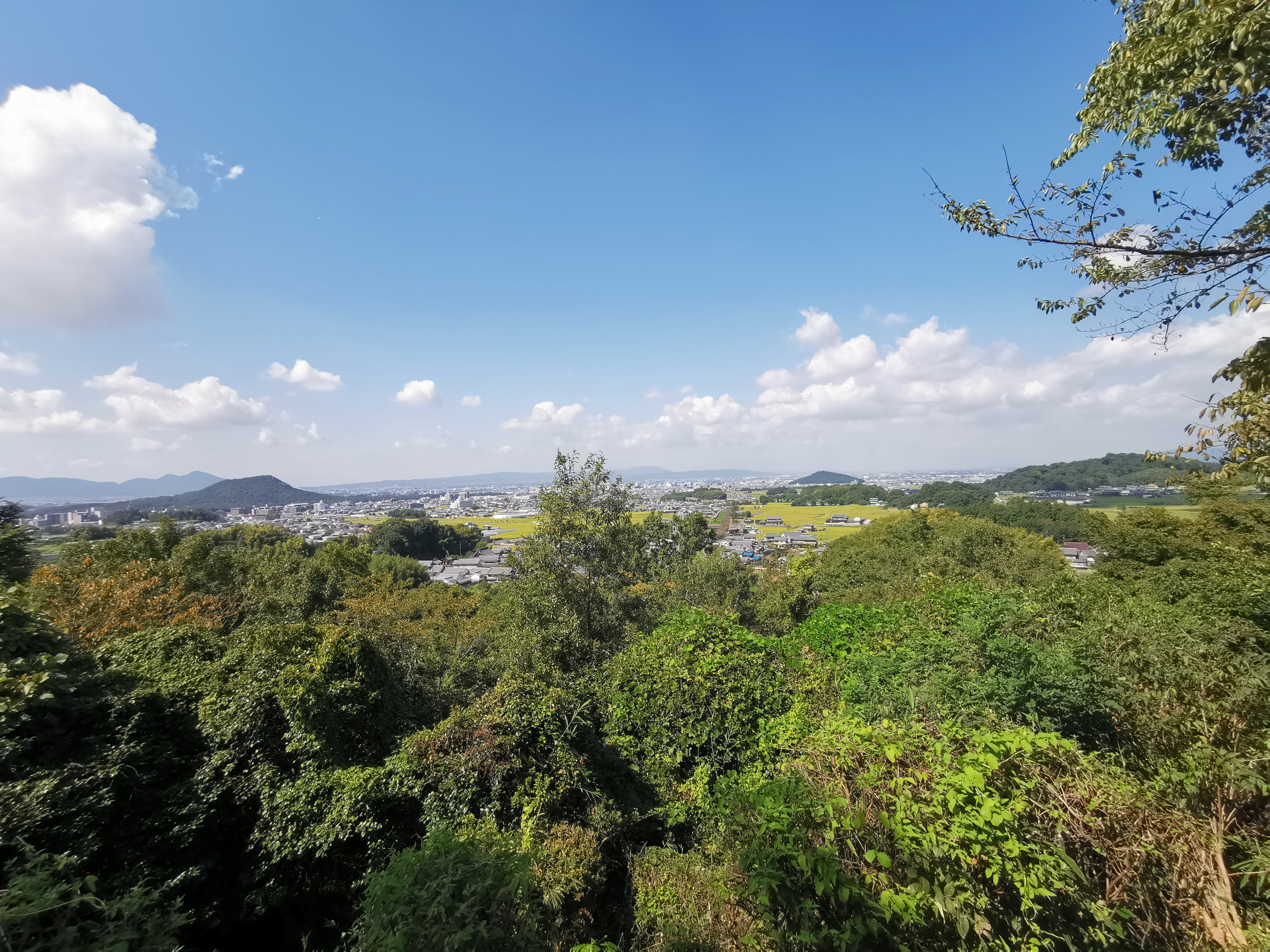 甘樫丘にのぼりいにしえの飛鳥路と藤原京を想う - ブログ - 名古屋の