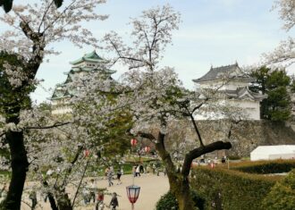 もう一つ桜の話題　名古屋城