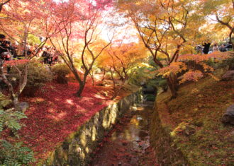 東福寺　渓谷が紅葉に覆いつくされる見事な景観