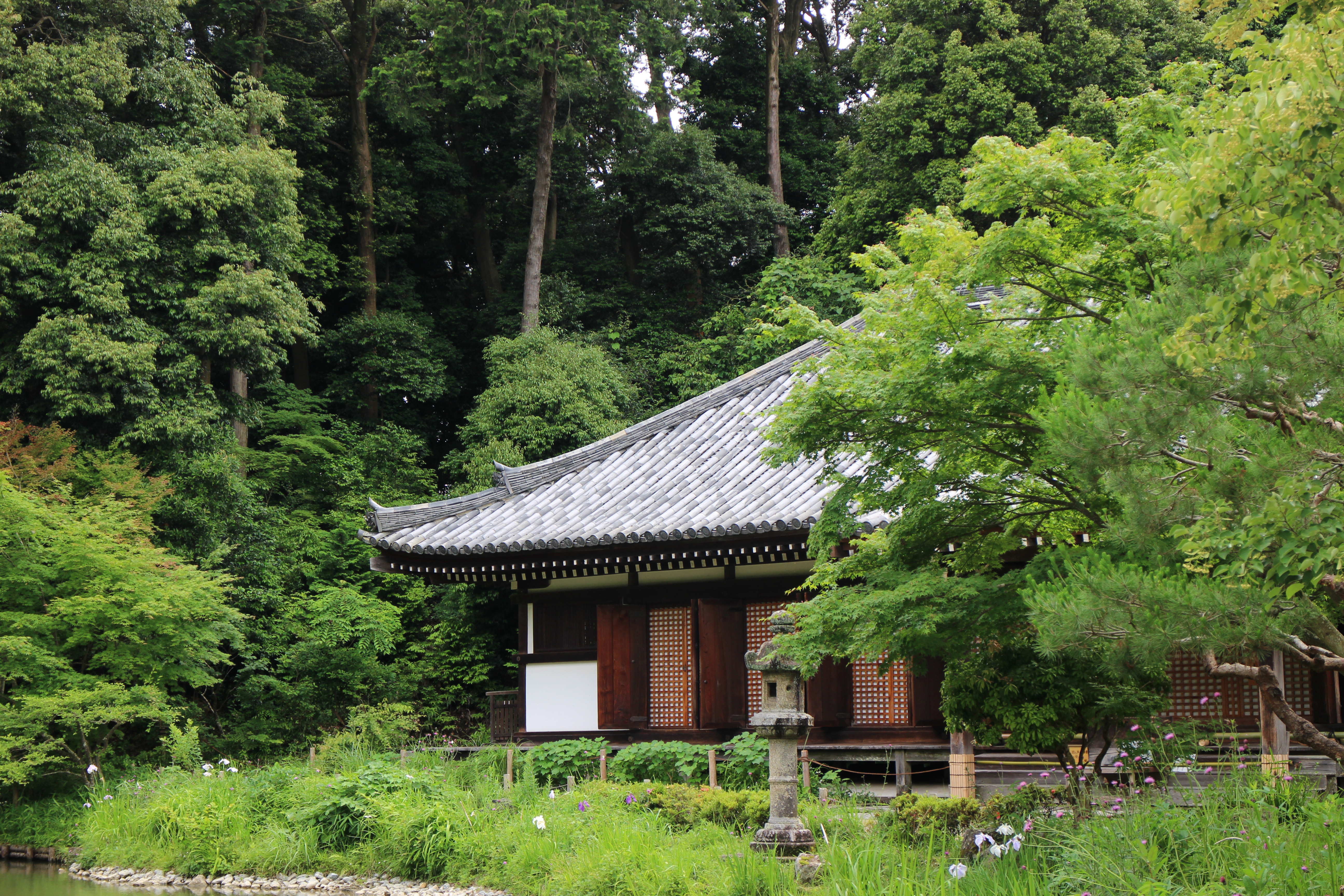 浄瑠璃寺 古代建築と庭園そして自然環境が織りなす見事な風景 - ブログ