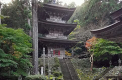 小浜・明通寺は深い木立の中に美しい景観を秘めている