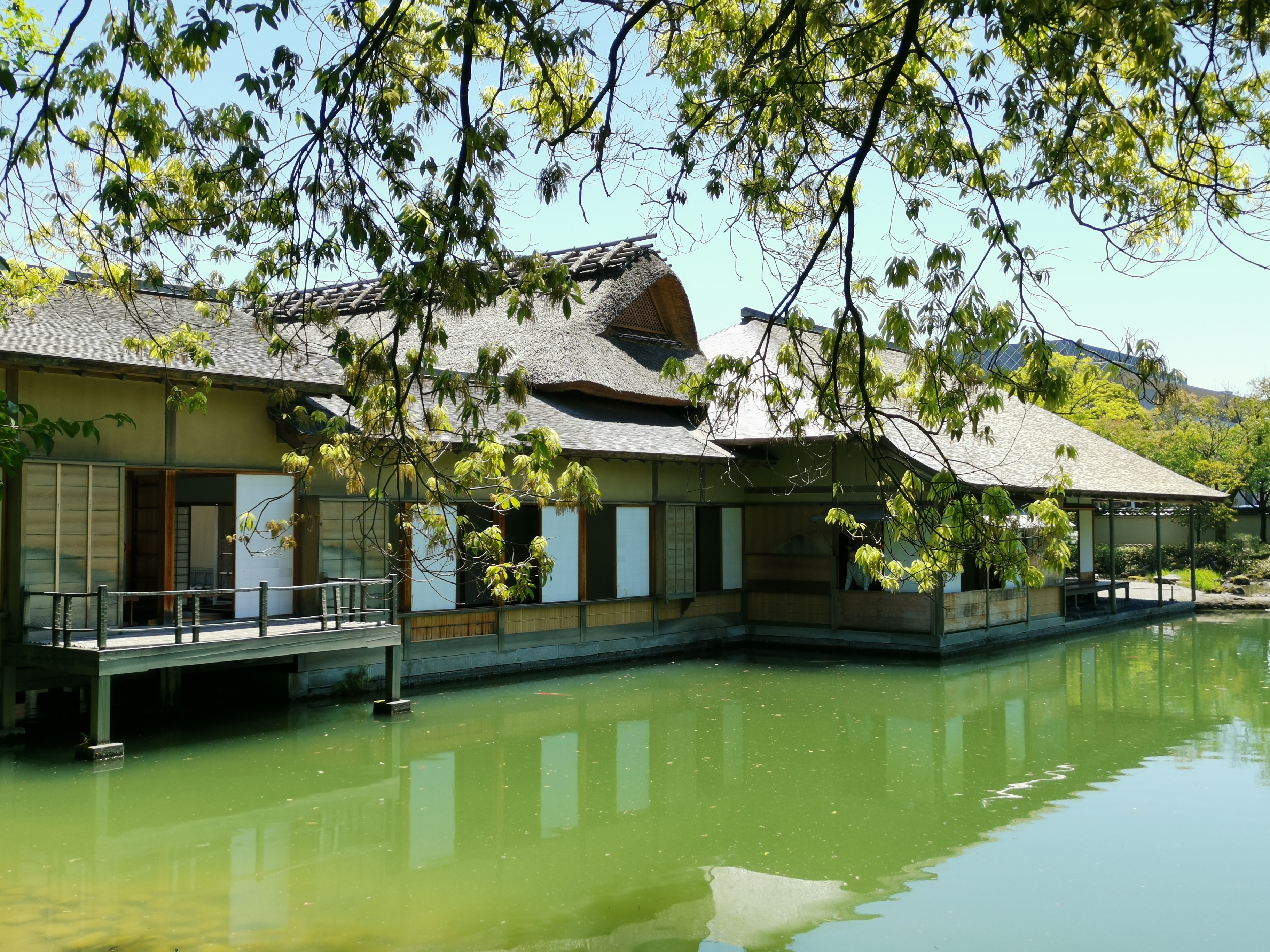 数寄屋　建築と庭園　毎日新聞社 自然と歴史 調和する木の空間 神戸・御影 90年前のぬくもりの中