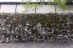 坂本滋賀院　庭と穴太衆の野面積み石垣