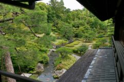 對龍山荘　南からの渓流とせせらぎが大池に注ぎ込む