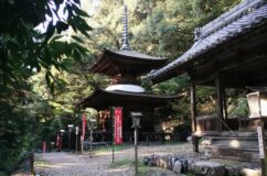 関市域は「兎の顔」　「兎の右の耳」にある日龍峯寺多宝塔は鎌倉期の名多宝塔