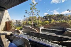 新春に新しいナゴヤキャッスルをみる