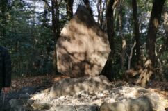 氷上姉子神社　日本武尊と祭神宮簀媛命の物語