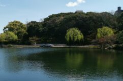 徳川園　四睡庵と瑞龍亭